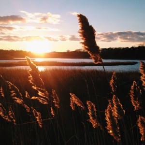 Processed with VSCOcam with c1 preset